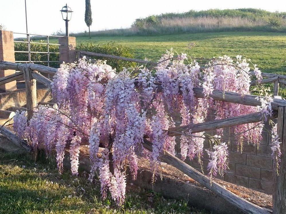 Agriturismo Ragoncino ไลยาติโค ภายนอก รูปภาพ